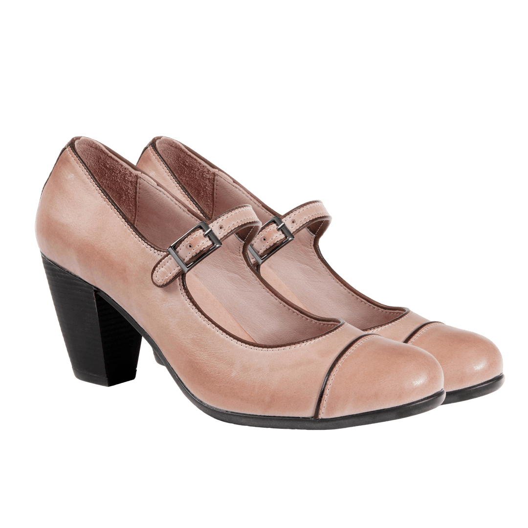 Blush Scholar a product